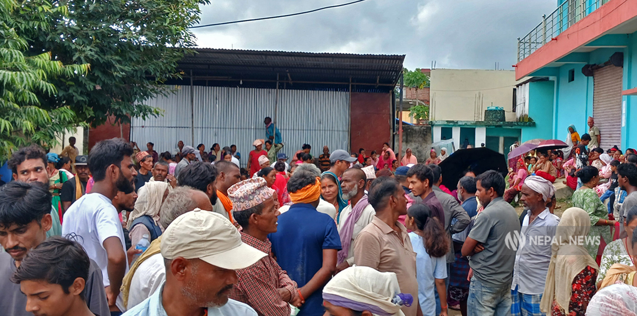 रासायनिक मलमा ढाँटको खेती