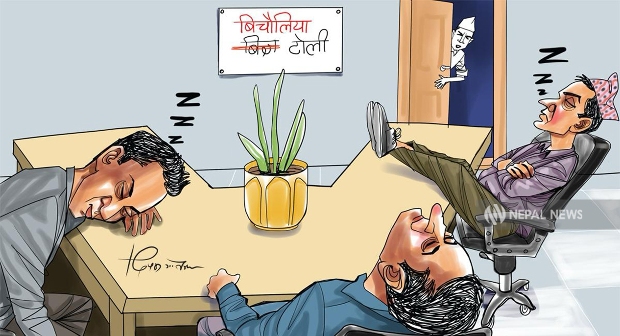 बिचौलिया बनेका विज्ञ–सल्लाहकार