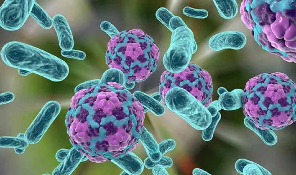 वीरगञ्जमा हैजाको प्रकोप, नागरिकलाई सतर्क रहन आग्रह