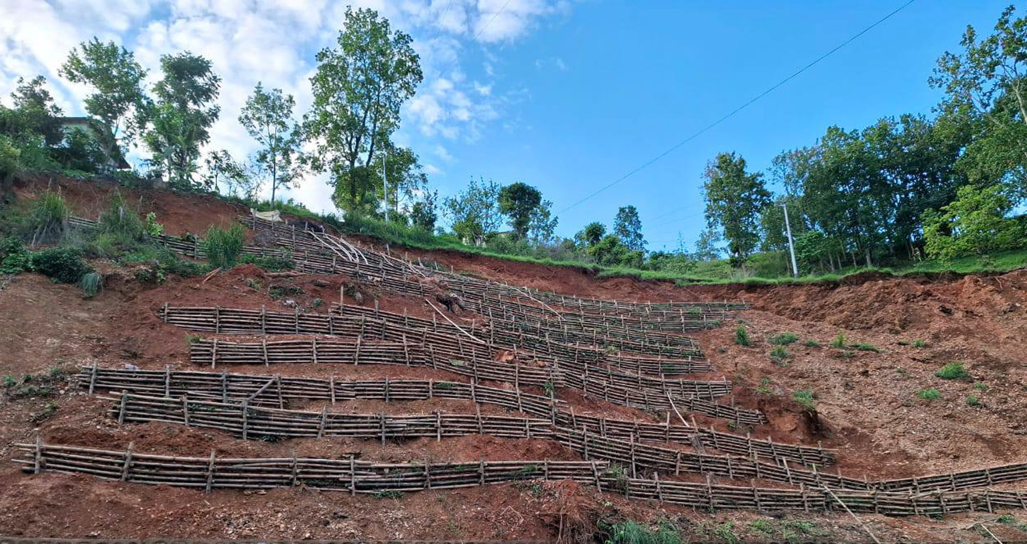 बायो इञ्जिनियरिङले पहिरो नियन्त्रण