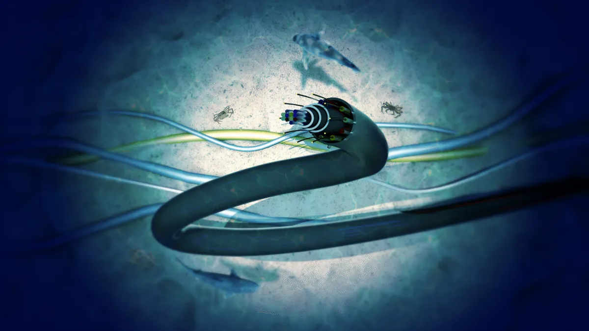 लाल सागरमा अन्डरसी केबल काटिँदा एसिया र मध्यपूर्वमा इन्टरनेट अवरुद्ध