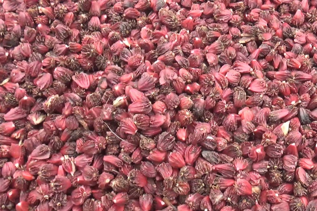 अलैँचीको बजार भाउमा गिरावट