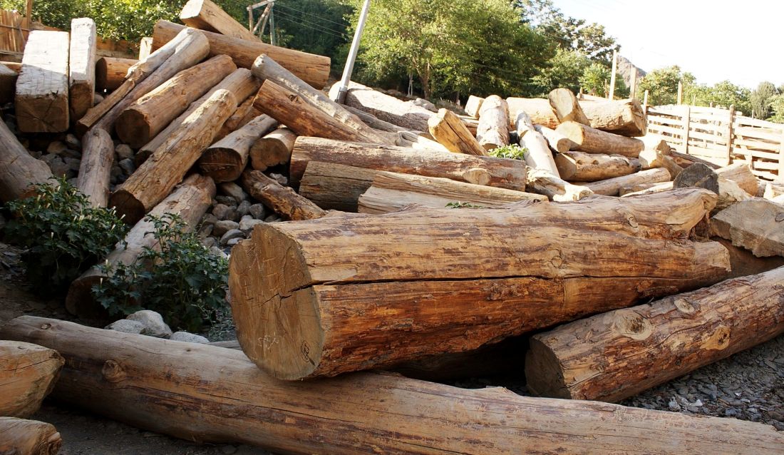 पुनःनिर्माणमा स्वदेशी काठलाई प्राथमिकता दिन आग्रह