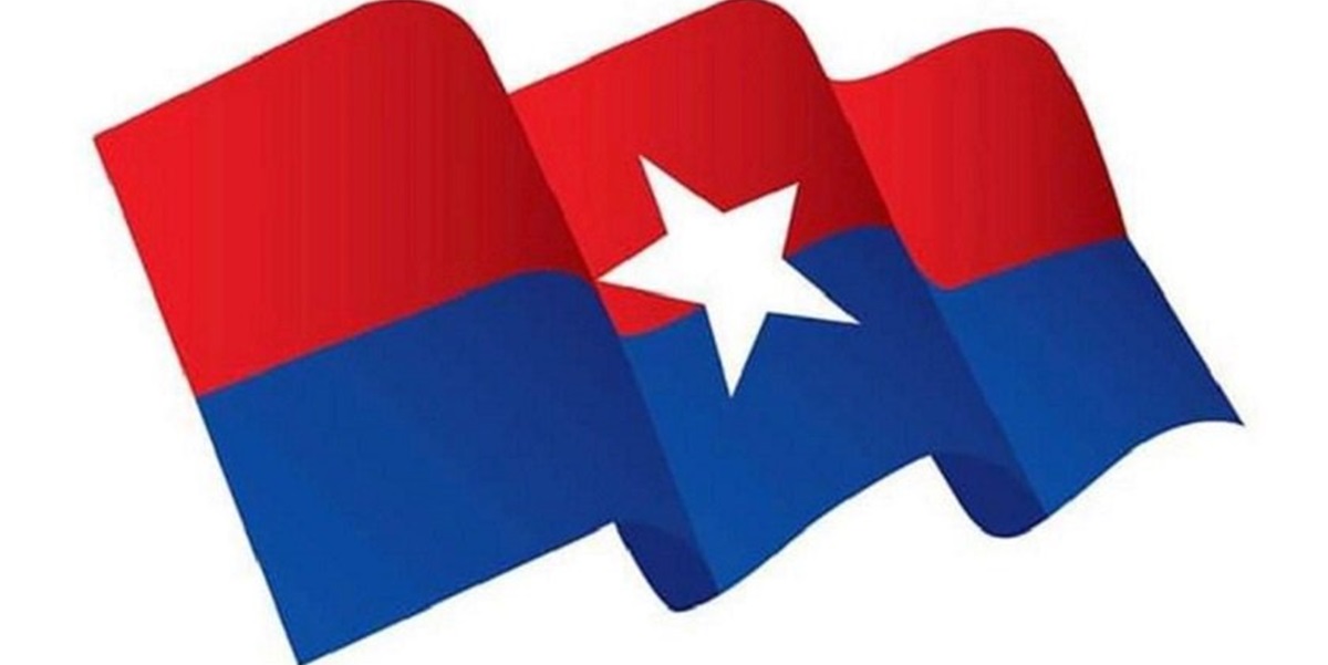 निर्वाचन गराउन युवा सङ्घ सहयोगी हुने