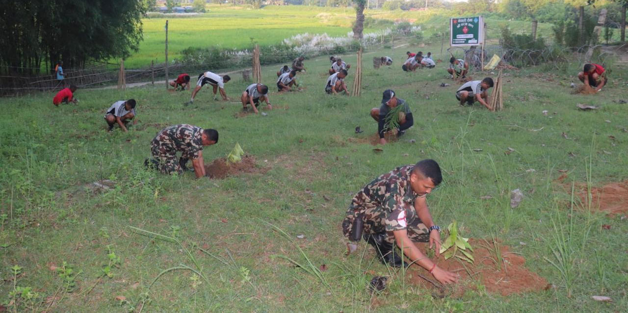 प्रकृति संरक्षणमा नौ हजार सेना, ११६ सैनिकले गुमाए ज्यान