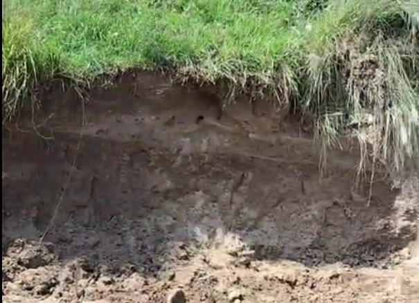 माटो लिन गएका चार जना ढिस्कोले पुरिए