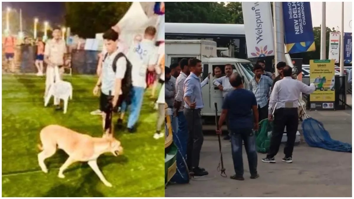 जब मैदानभित्र विदेशी प्रशिक्षकलाई कुकुरले टोक्यो