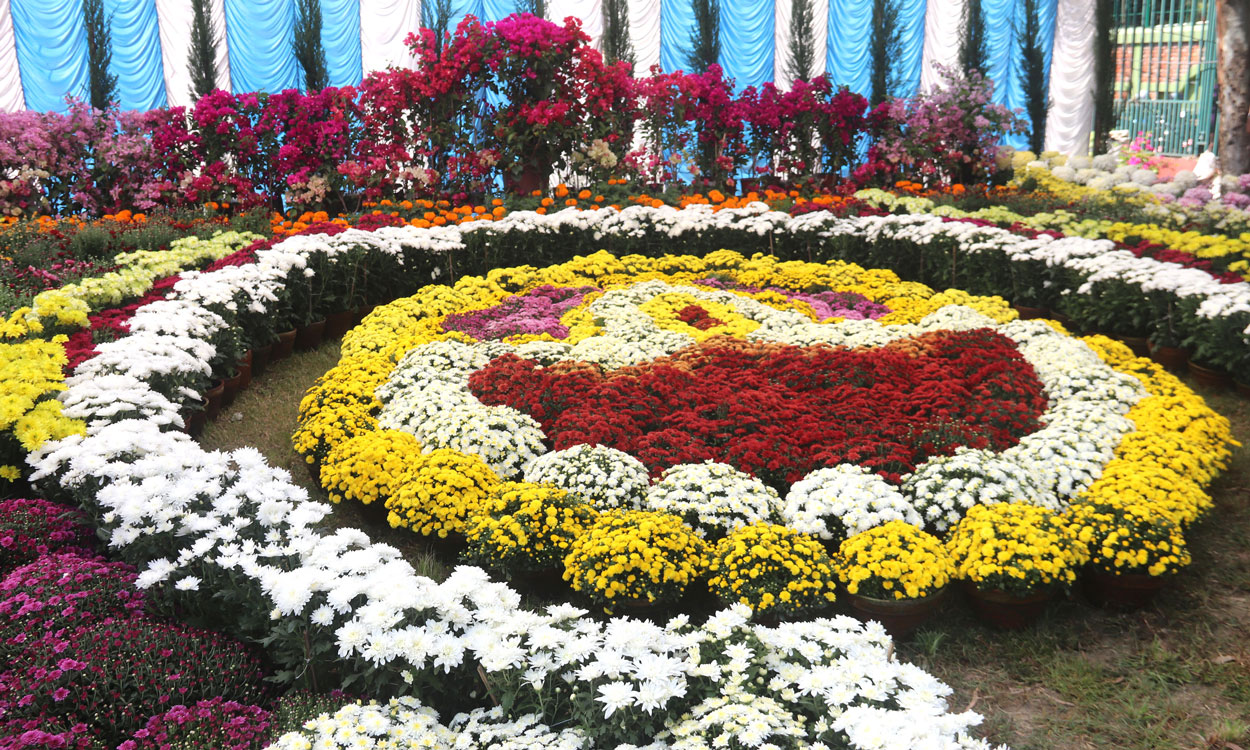 ललितपुरमा फूलको प्रतियोगितात्मक प्रदर्शनी