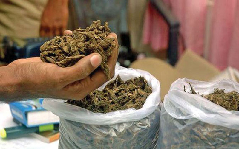 सिरहाबाट दुई क्विन्टल गाँजा बरामद