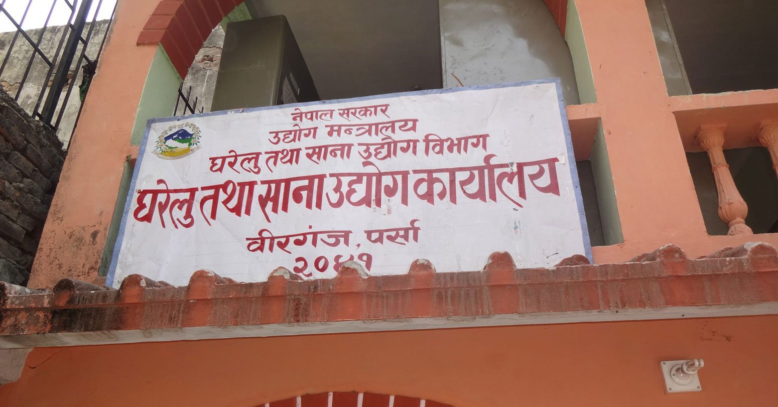 पर्सामा  महिलाको नाममा तीन सय ६३ घरेलु उद्योग सञ्चालन