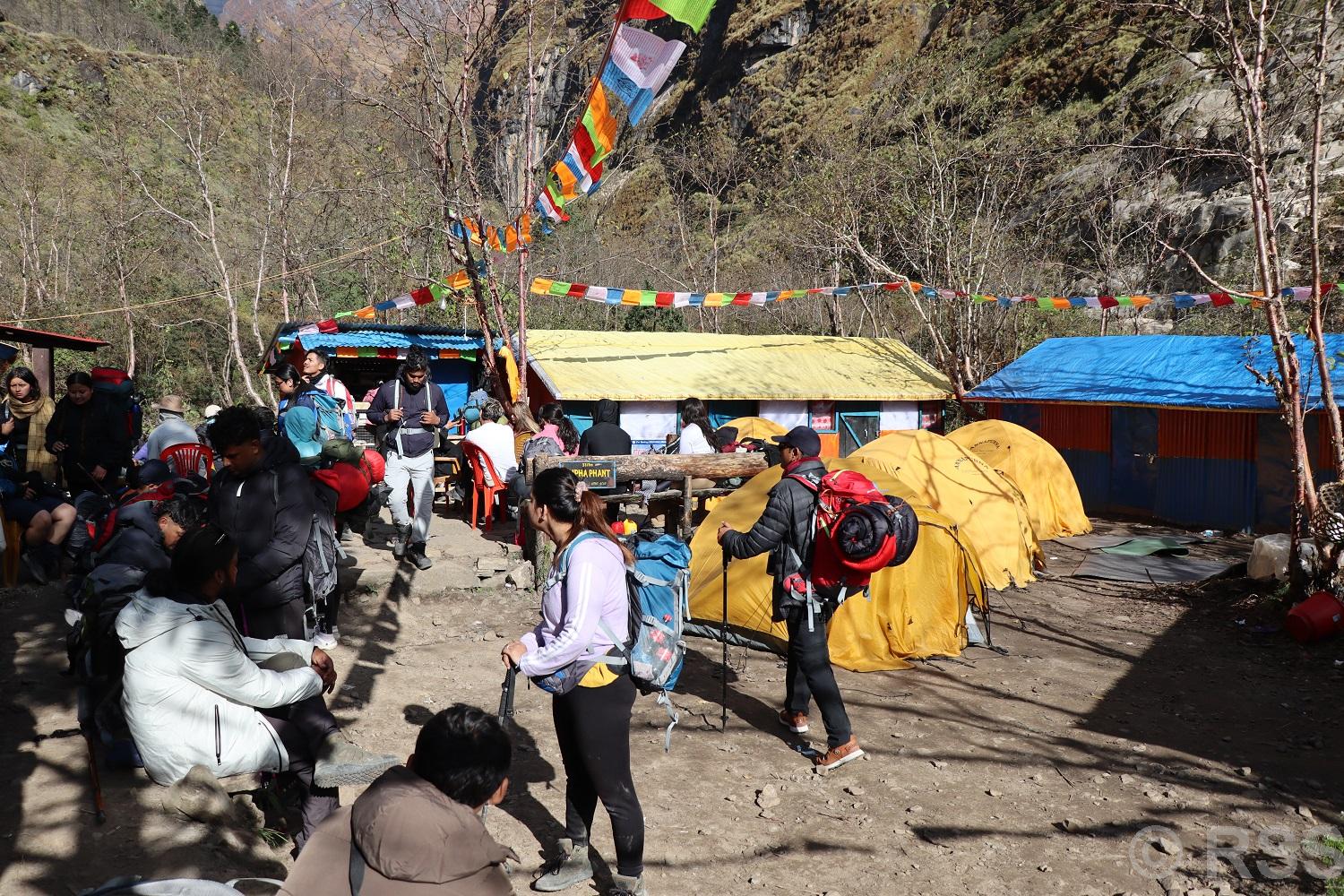 अन्नपूर्ण र मुस्ताङमा पर्यटकको लर्को , व्यवसायी भन्दछन् ‘यति धेरै पर्यटक आउलान् भनेर कल्पना गरेका थिएनौँ’