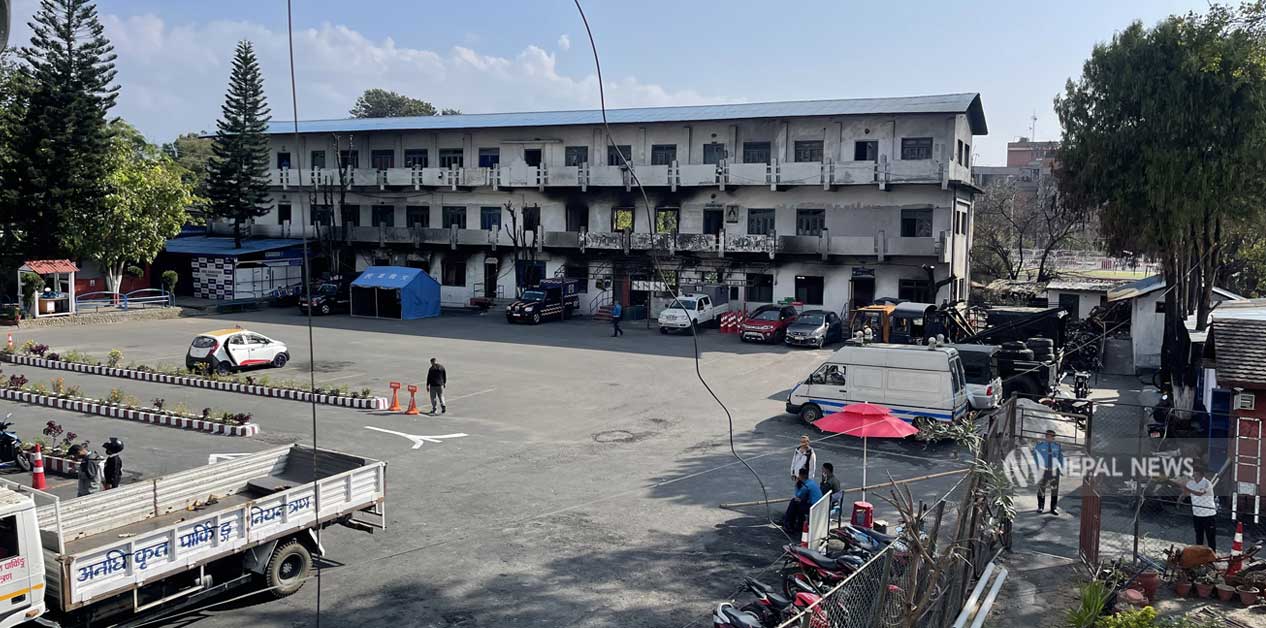 सडक नियम ‘ब्याक गियर’ मा