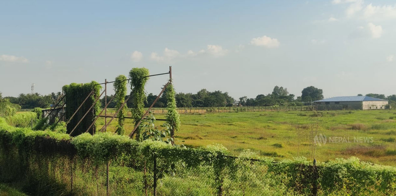 लागुऔषध प्रयोगकर्ताको अखडा बन्यो गौरवको रंगशाला