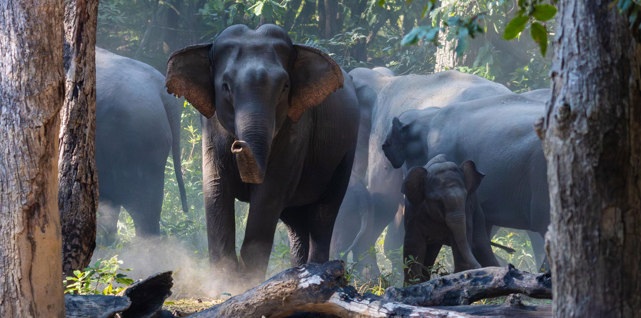 हात्तीबाट जोगिन गस्ती र माइकिङ