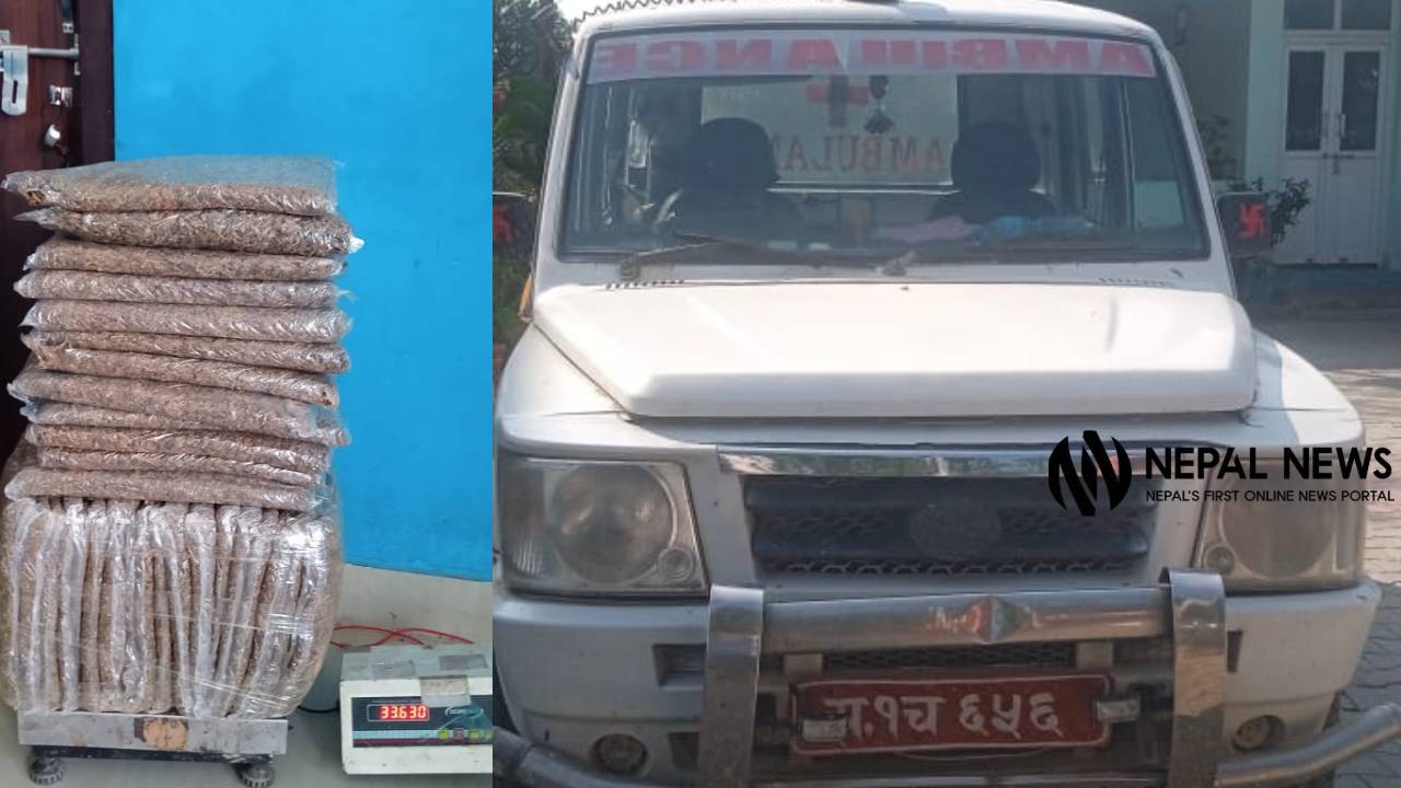 एम्बुलेन्समा गाँजा, विराटनगरमा चालकसहित दुई जना पक्राउ