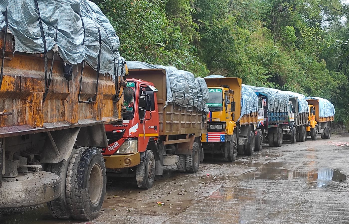 बन्चरेडाँडामा फोहोर बोकेका गाडी जान थाले