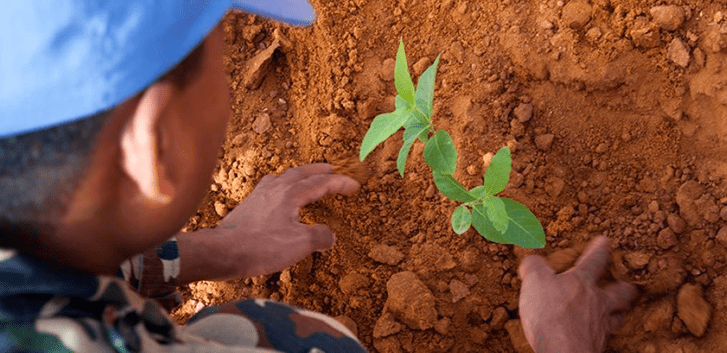 युद्ध र सशस्त्र द्वन्द्वमा वातावरणको दुरुपयोग रोक्न अन्तरराष्ट्रिय दिवस मनाइँदै