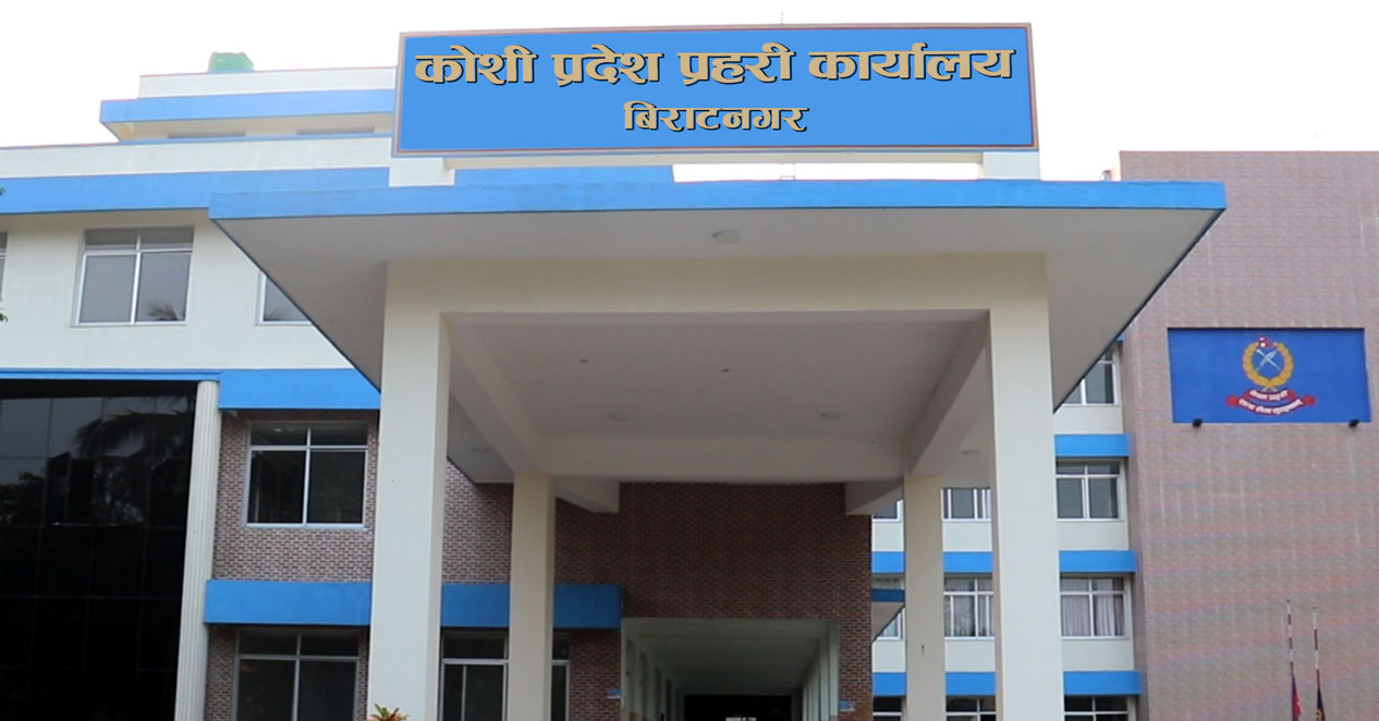 कोसी प्रदेशमा लैंगिक हिंसाका २८६ मुद्दा दर्ता