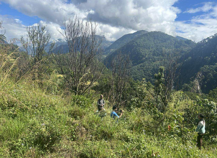 ‘पकेट’ क्षेत्रमै सुन्तलाका बोट सुकेपछि ..