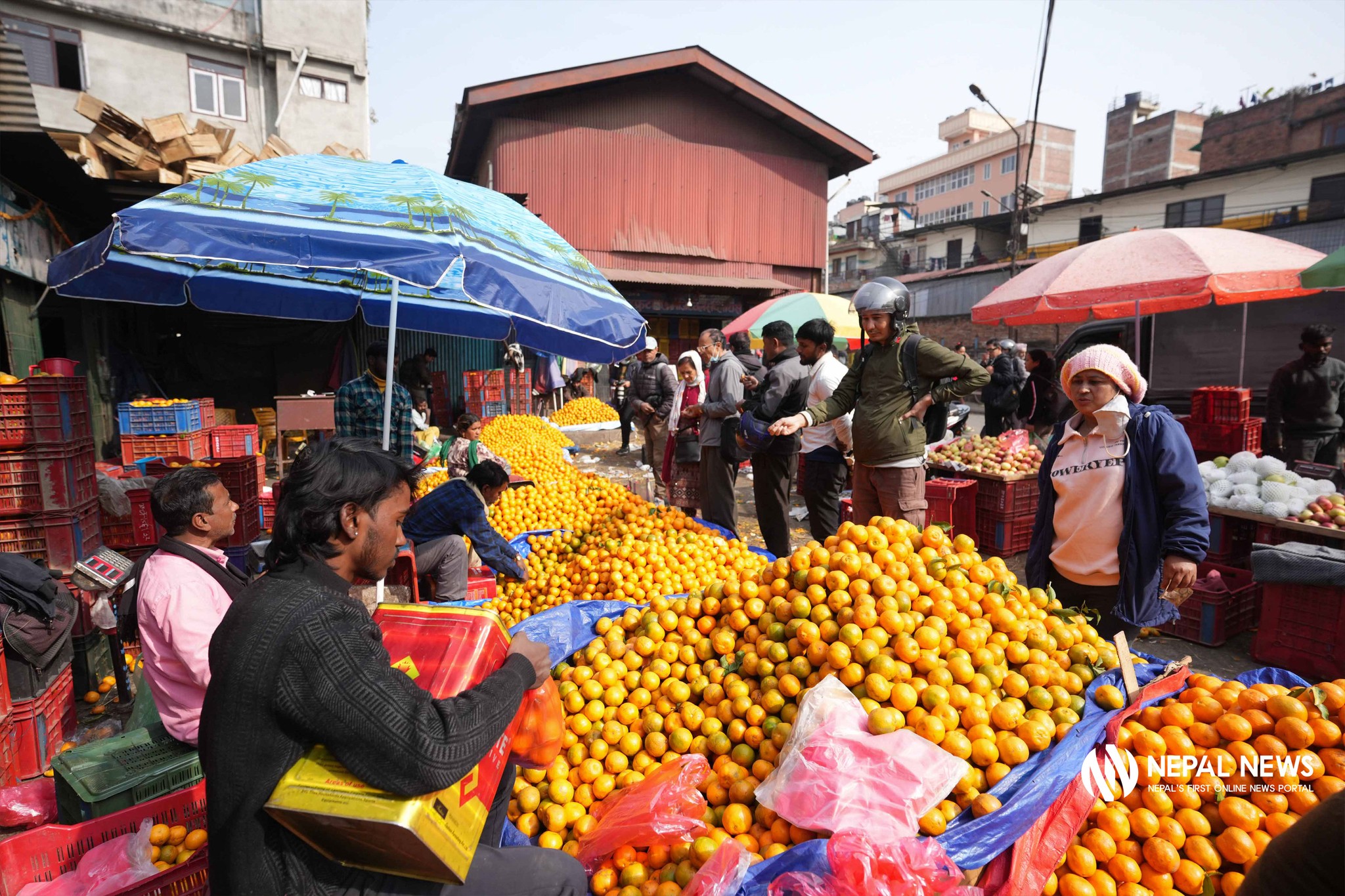 कालिमाटीमा सुन्तला व्यापार (तस्बिरहरू)