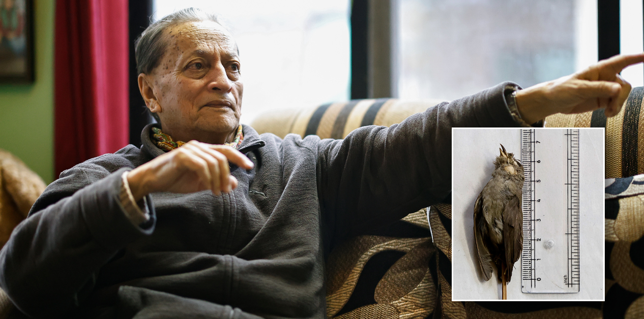 ‘सिकारी’ प्रोफेसर