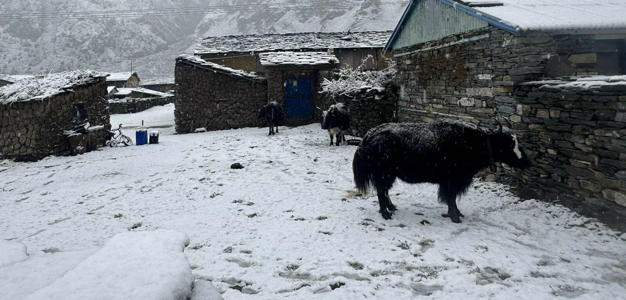 हिमालबाट जाडो छल्न बेँसी