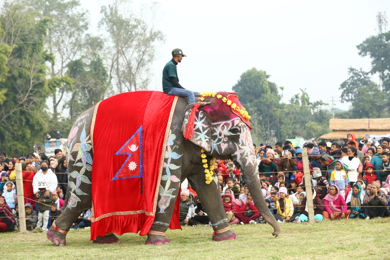 हात्ती ब्युटी पेजेन्टमा पुनमकली ‘फर्स्ट’ [फोटो फिचर]