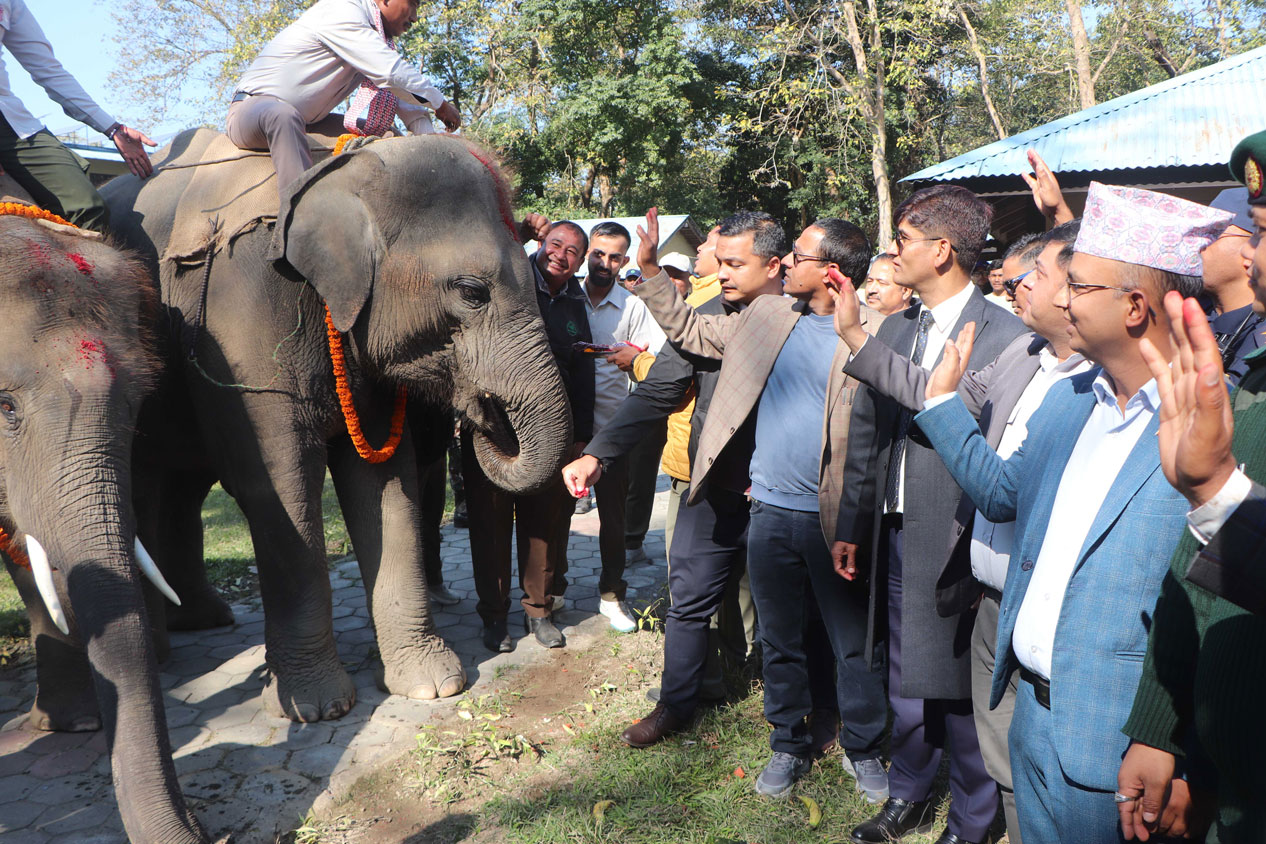 कतार जाँदै खगेन्द्रप्रसाद र रुद्रकली‚ सौराहाबाट गरियो बिदाइ