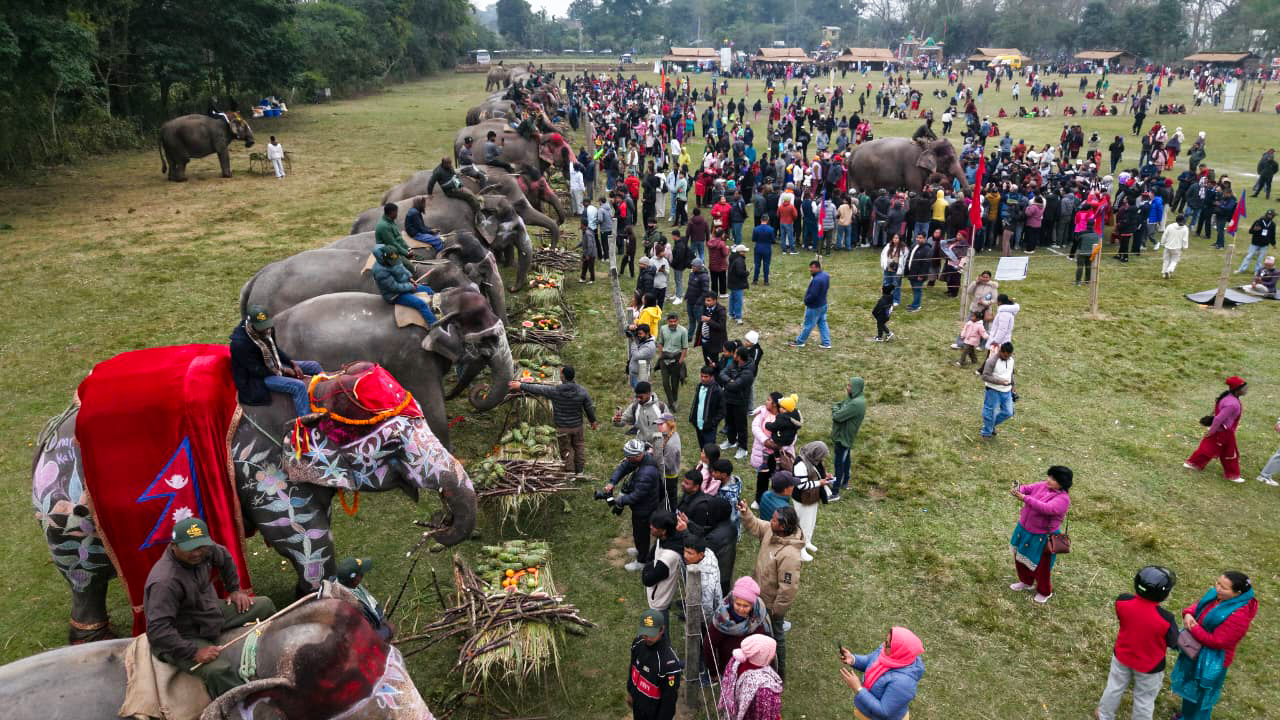 हात्तीलाई थरीथरीका परिकार [फोटो फिचर]