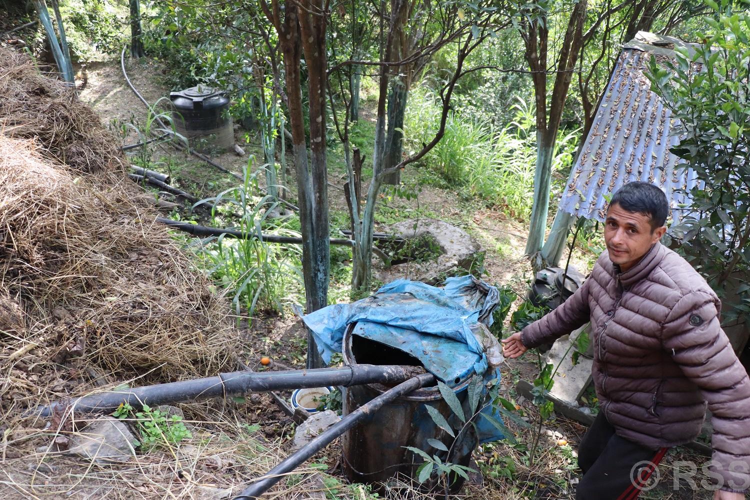 गहुँतबाट जैविक विषादी उत्पादन गरेर खेतीमा प्रयोग