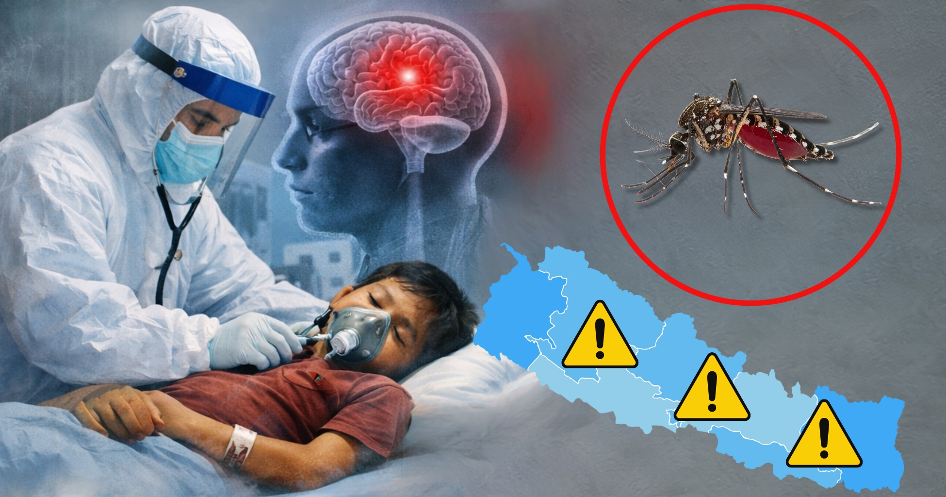 जापानिज इन्सेफलाइटिसको गहिरिँदो संक्रमण, ४१ जिल्ला उच्च जोखिममा