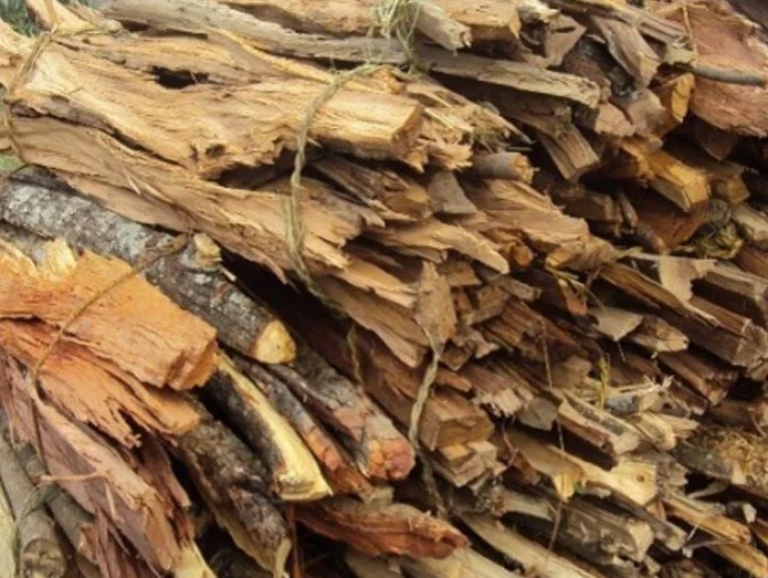 वृद्धाश्रम र मन्दिरमा दाउरा वितरण