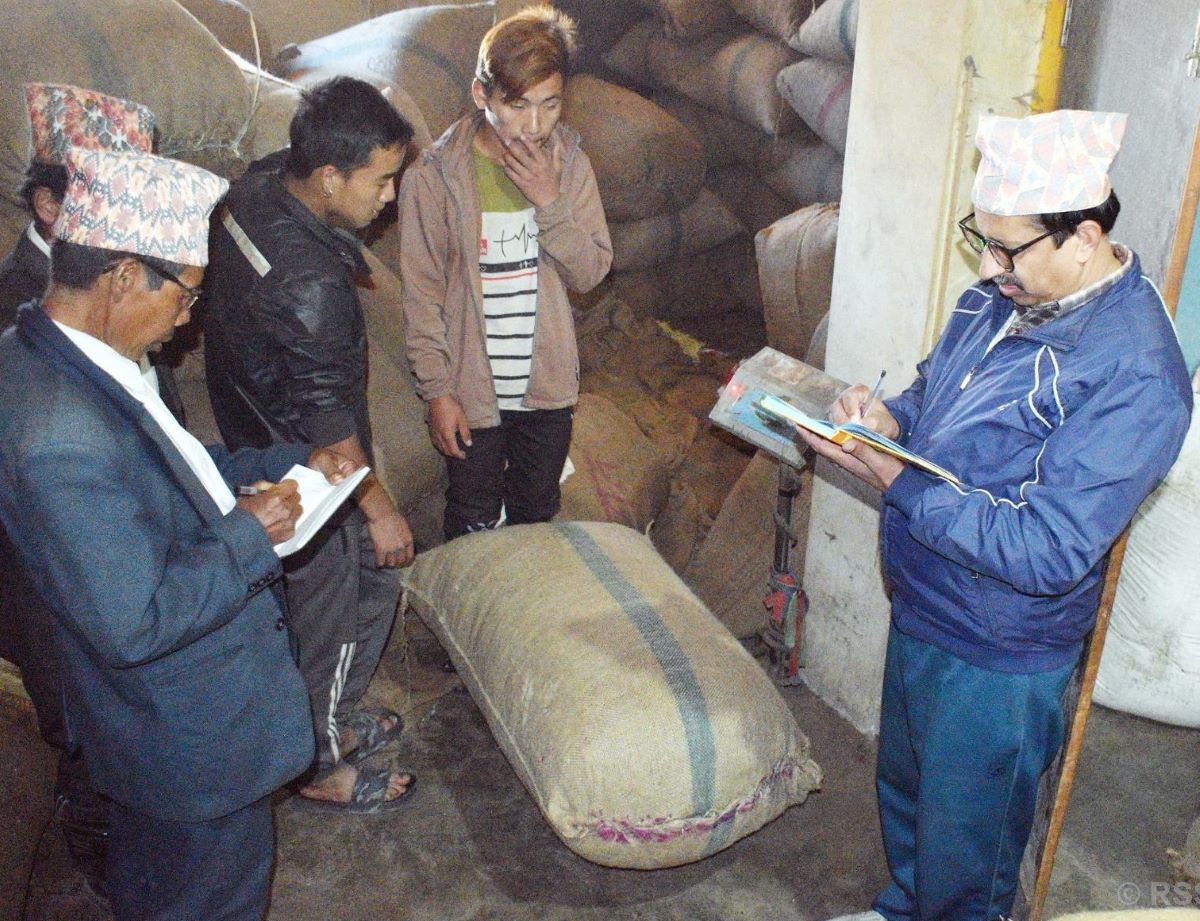 अलैँचीको मूल्यमा निरन्तर गिरावट