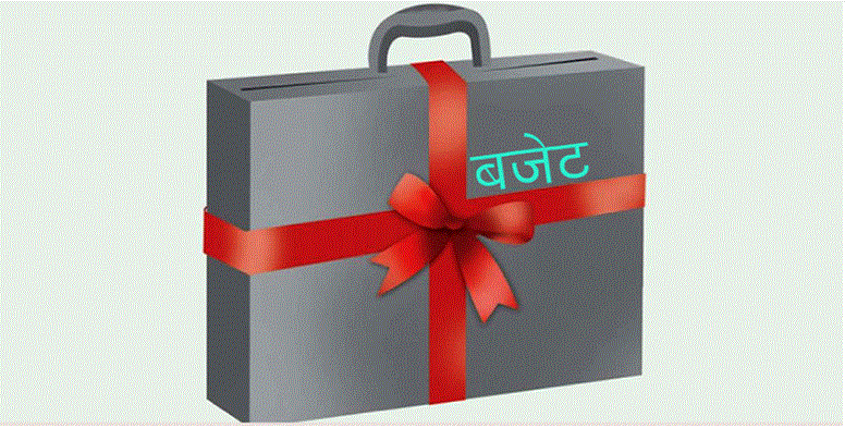 बजेट निर्माण प्रक्रिया सुरु