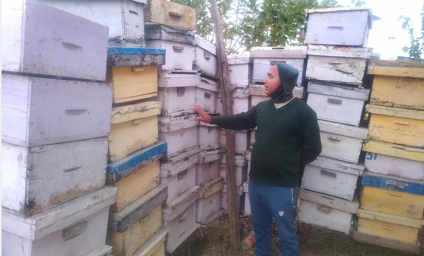 अवकाशपछिको जाँगरः मौरीपालनबाट मनग्य आम्दानी गर्दै घनश्याम