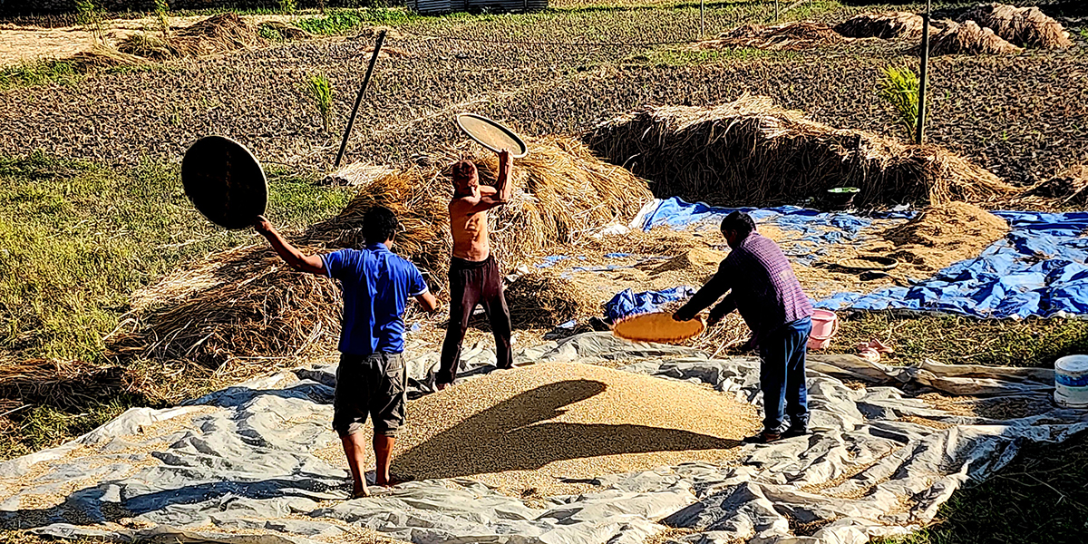 जमिनको विवरण र उत्पादनका आधारमा ५८ प्रतिशत किसान सूचीबद्ध