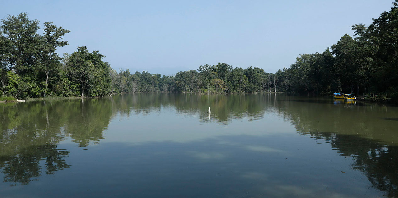समन्वयबिना ठेक्का दिँदा घोडाघोडी तालका विषयमा विवाद