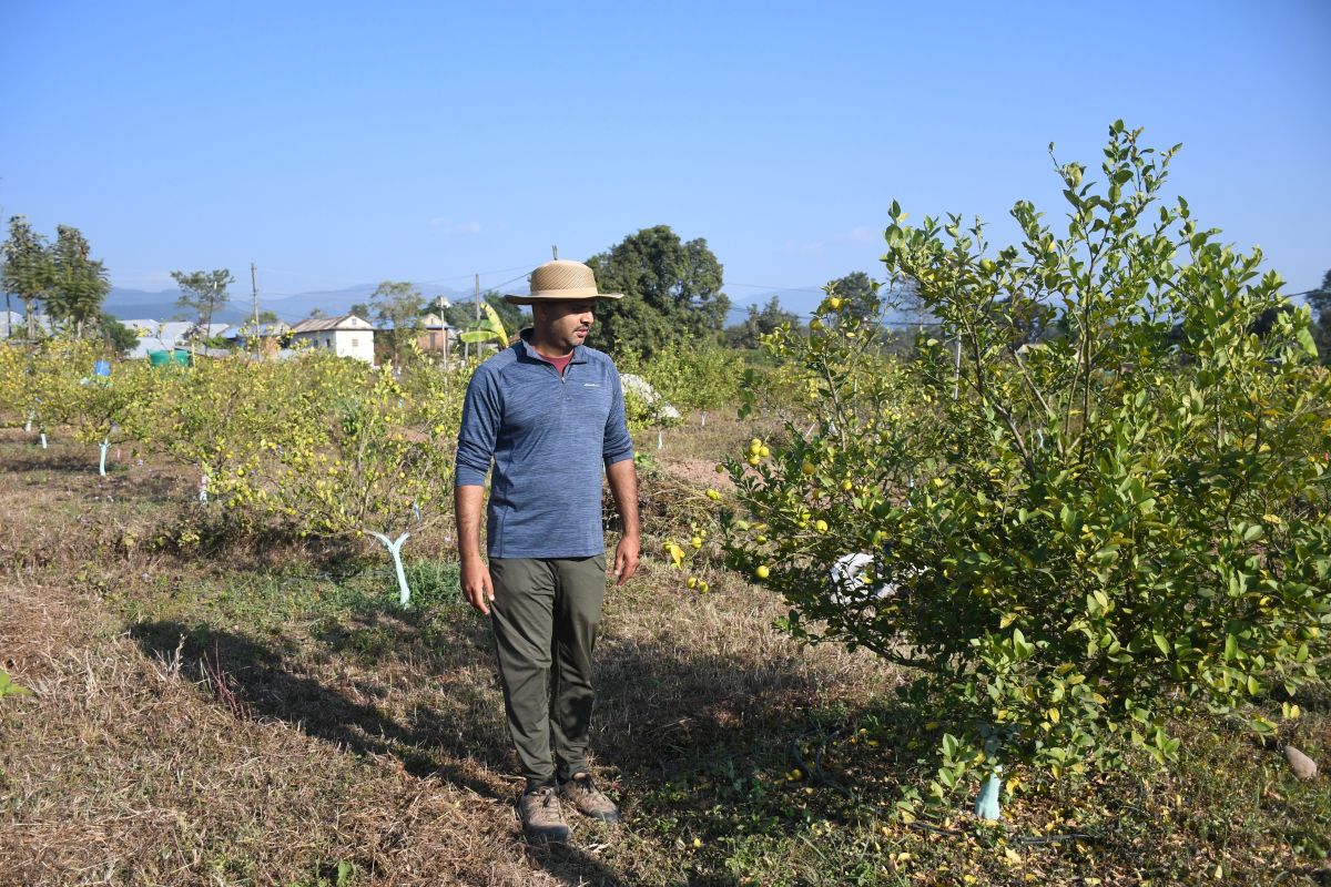 व्यावसायिक कागतीखेतीमा व्यस्त सिभिल इन्जिनियर लोहनी