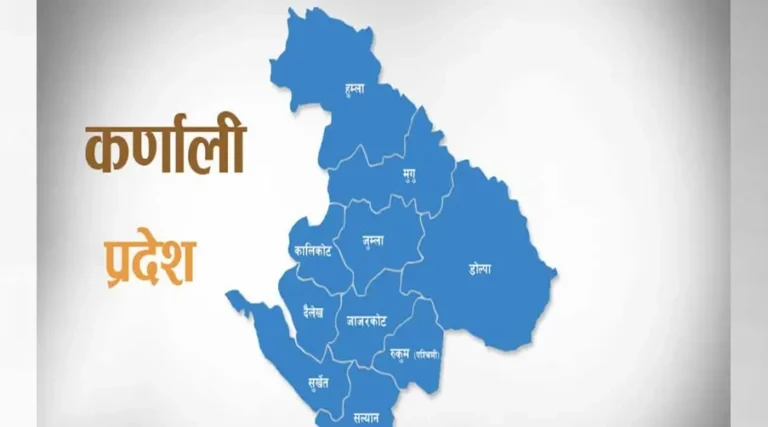 कर्णालीमा नसर्ने रोगबाट प्रभावित बन्दै बालबालिका