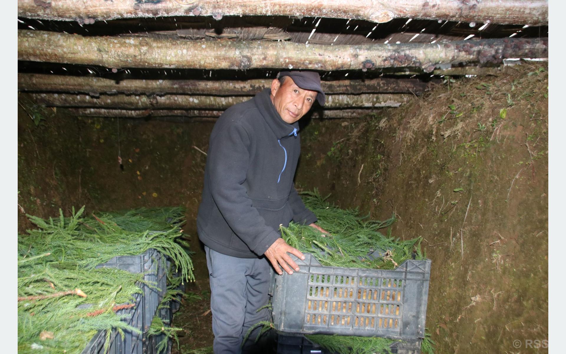 प्राकृतिक शीतभण्डारमा किबी