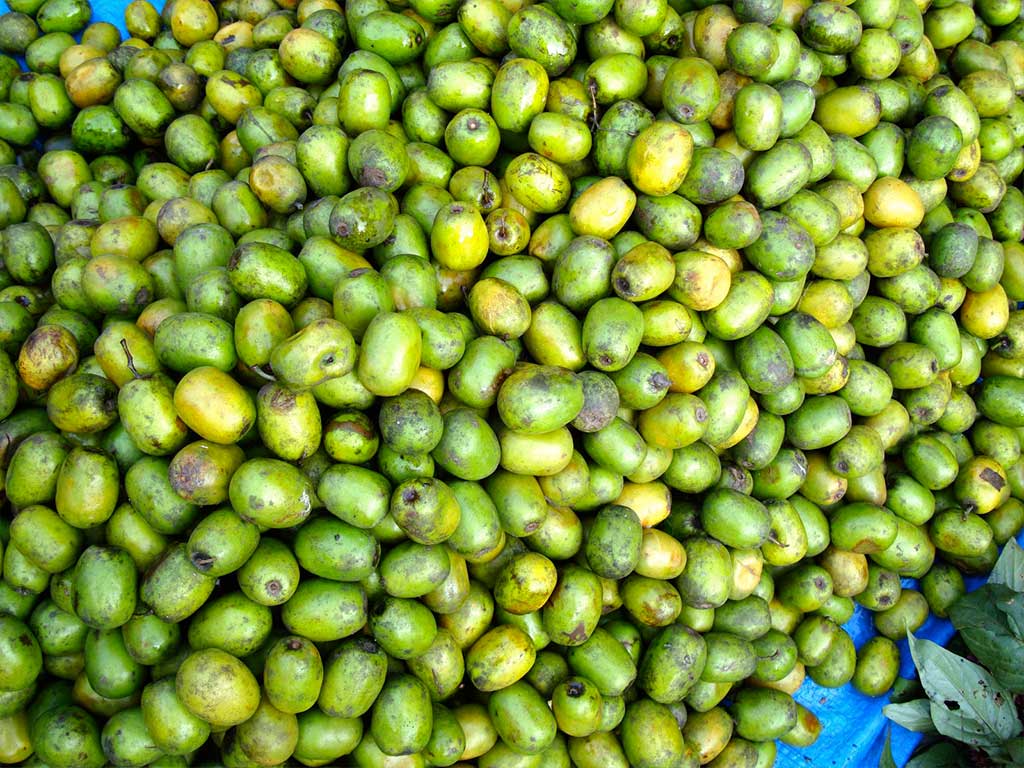 पर्वतमा व्यवसायीलाई लप्सीका परिकार बनाउन भ्याइनभ्याइ