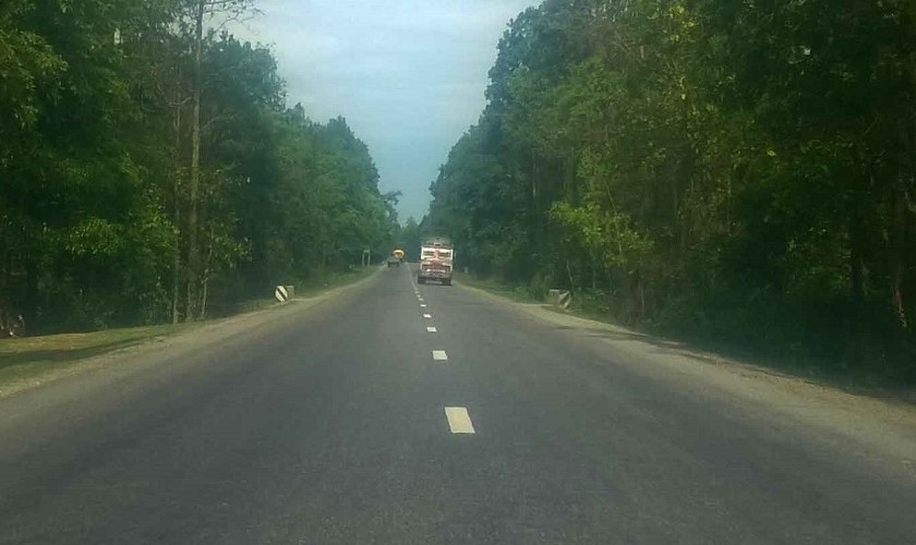 पूर्व–पश्चिम राजमार्ग विस्तार गर्न ६ हजार रुख काटिने