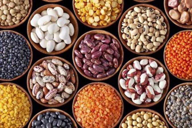 प्रत्येक स्थानीय तहमा सामुदायिक बीउ बैंक स्थापना गर्न जोड