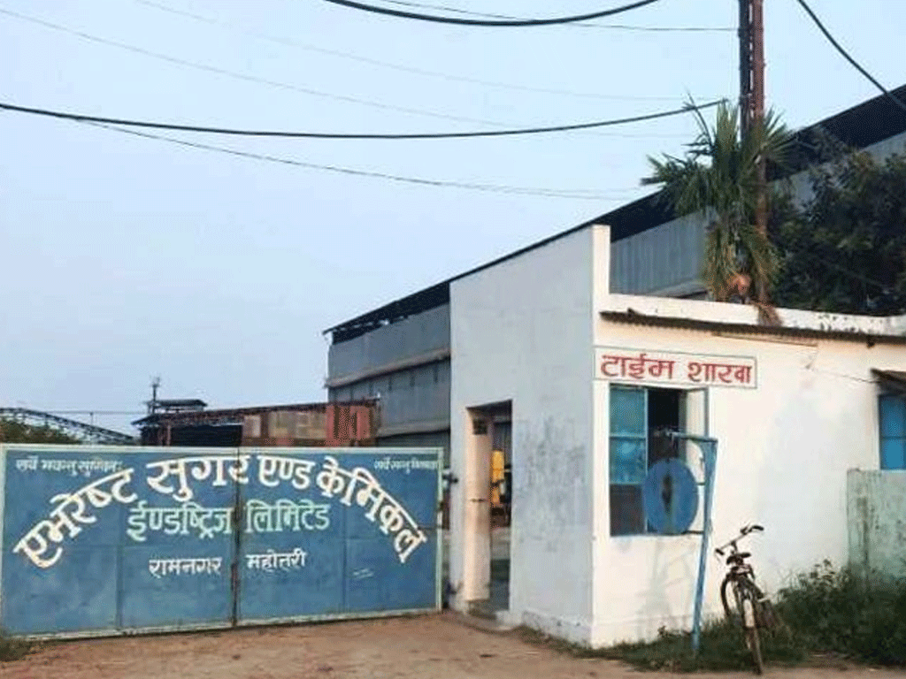 एभरेष्ट चिनी उद्योगमा उखु क्रसिङ सुरु