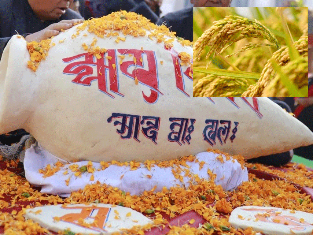 मार्गशीर्ष शुक्ल पूर्णिमाः धानको पूजा गरी मनाइँदै धान्य पूर्णिमा पर्व