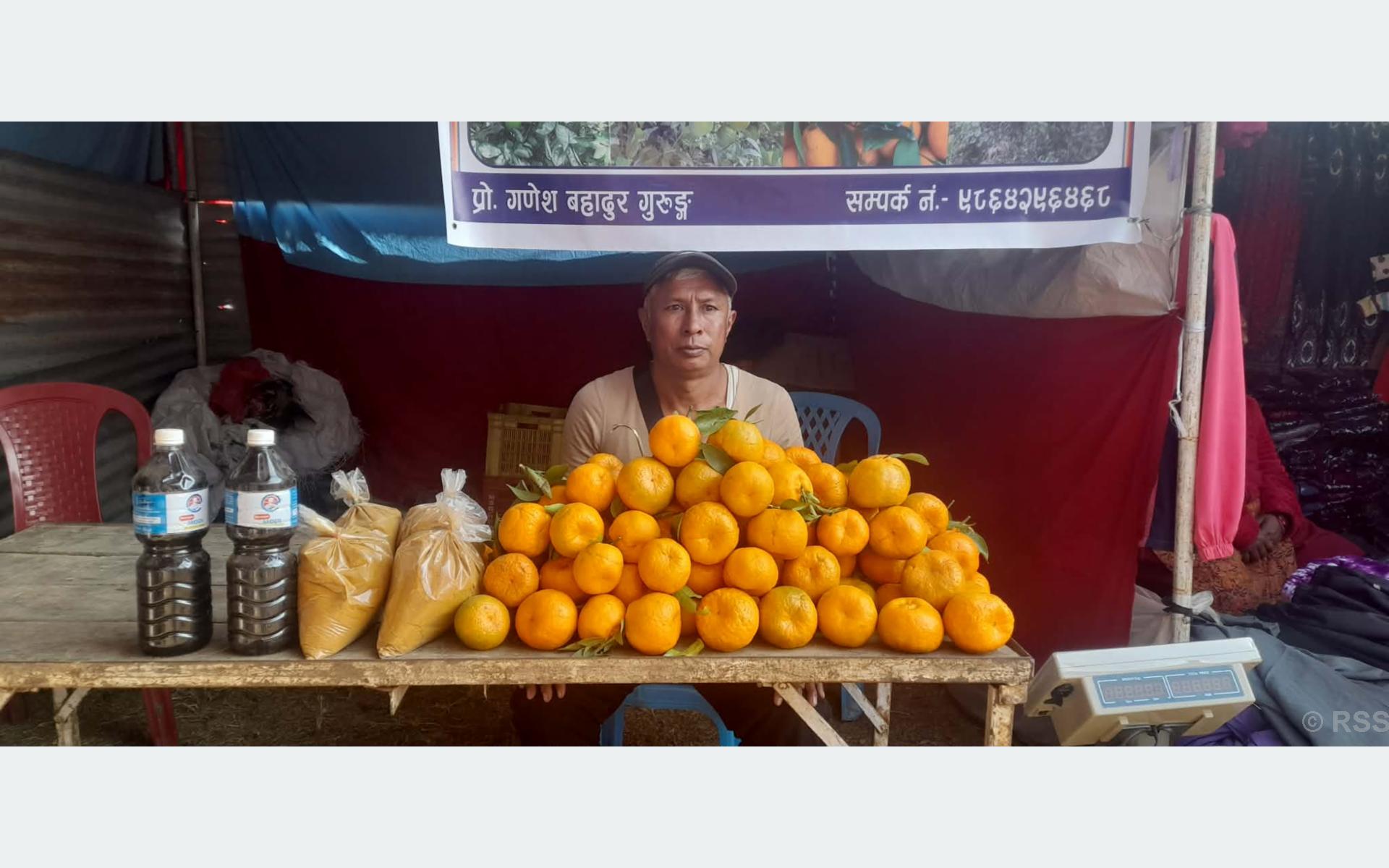 जङ्गल फाँडेर सुन्तलाखेती विस्तार