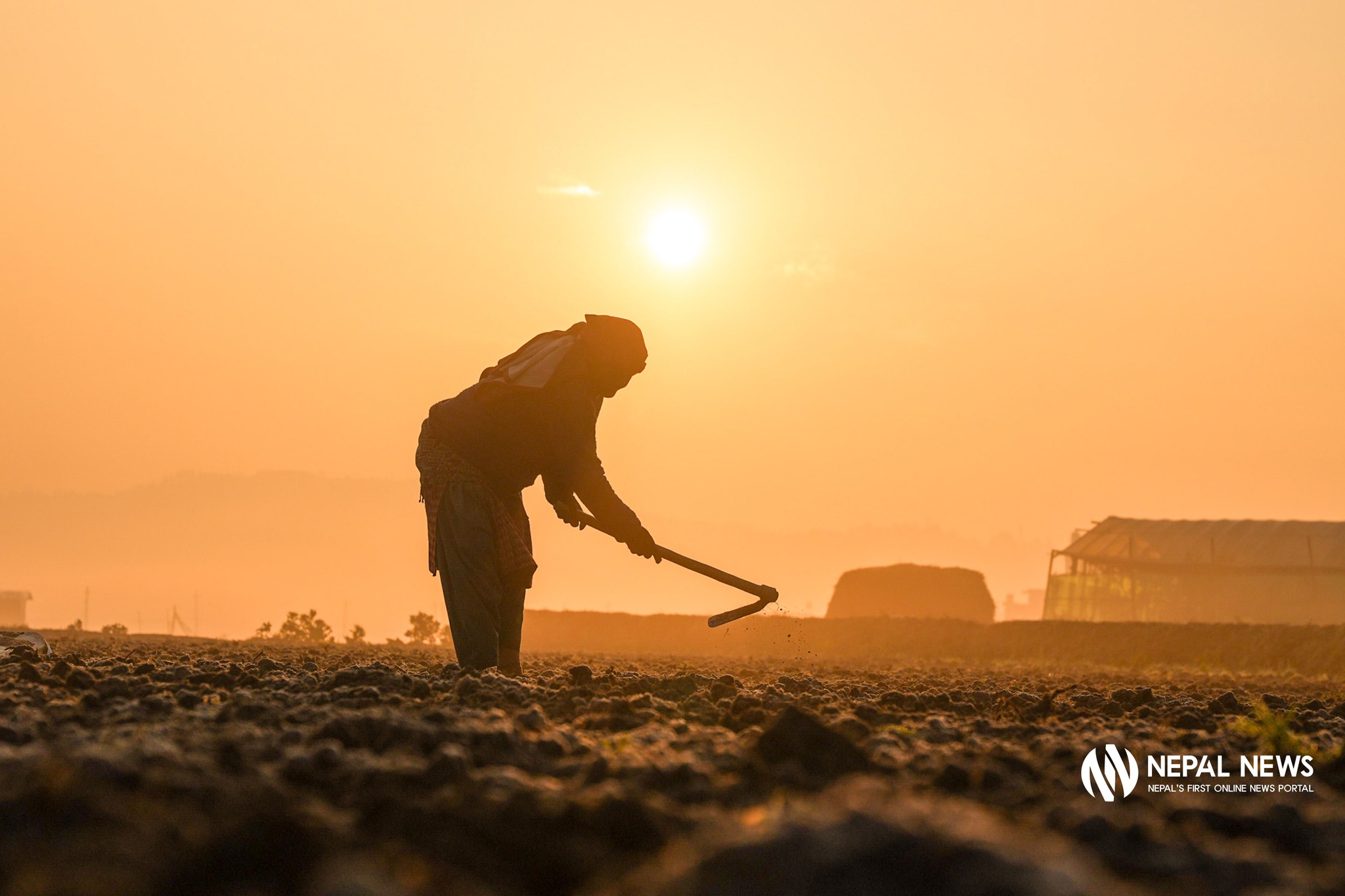 पनौतीमा जाडोयामको आलु खेतीमा व्यस्त किसान [फोटो फिचर]