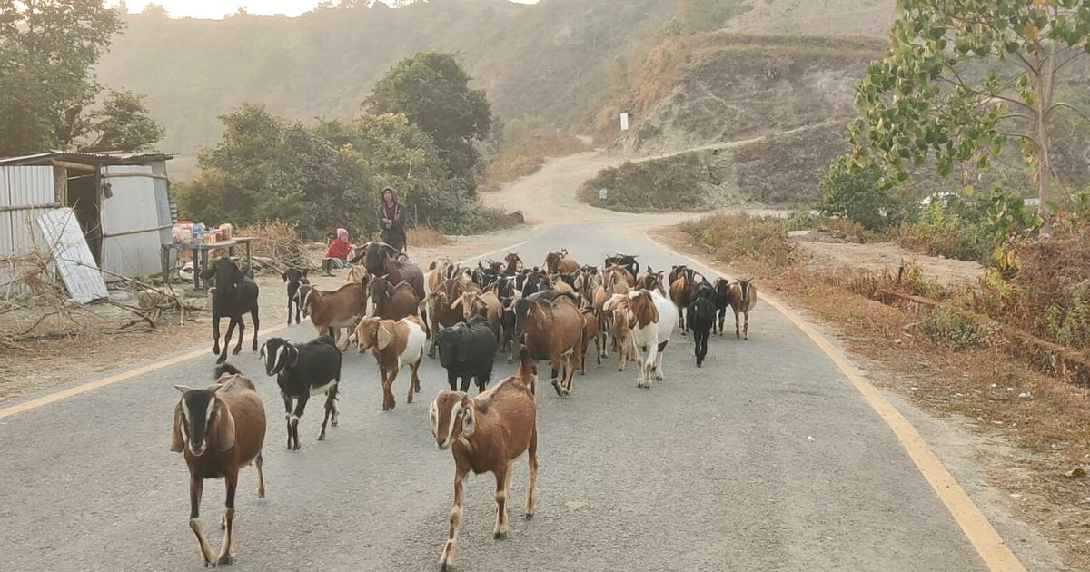 खसीबाख्रा बेचेर धनी बनेको रमिते गाउँ