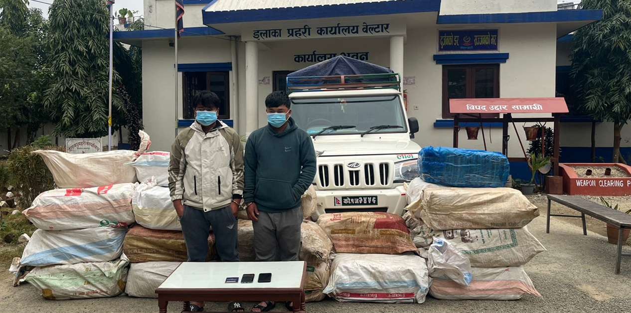 पूर्वमा गाँजा, मध्य र पश्चिम नेपालमा चरेस र अफिम