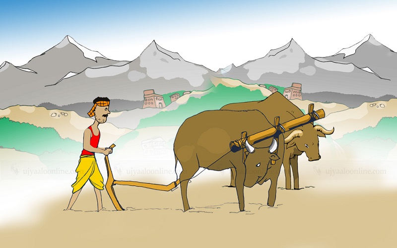 मिथिलामा वसन्तपञ्चमीसँगै कृषि नववर्षको उत्सव